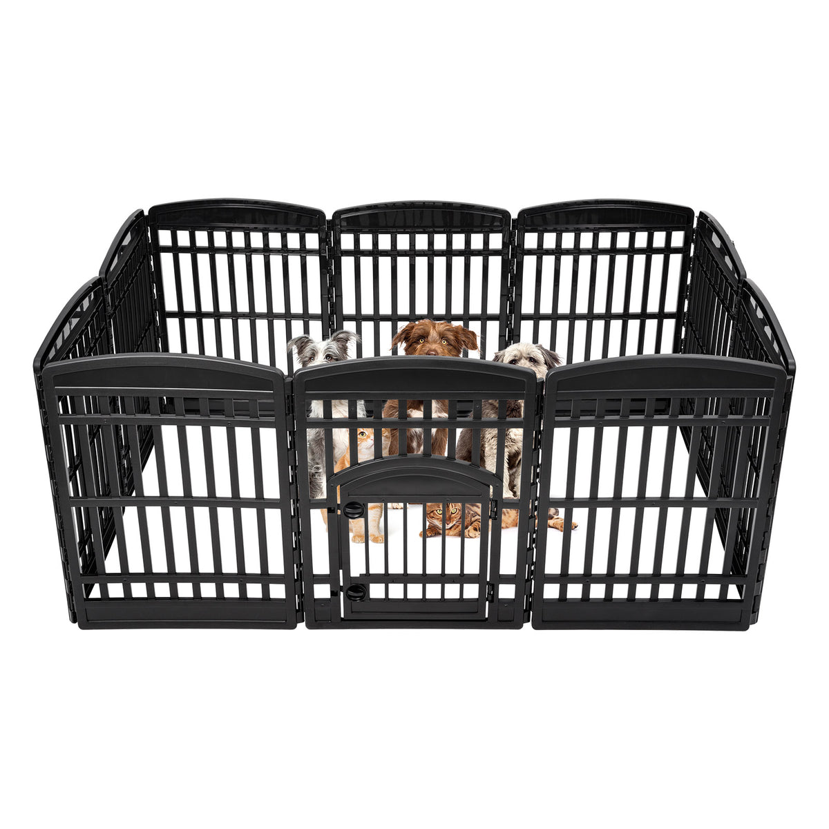 CI-910E_Black_Catalog_Rect_01_WithPetscopy